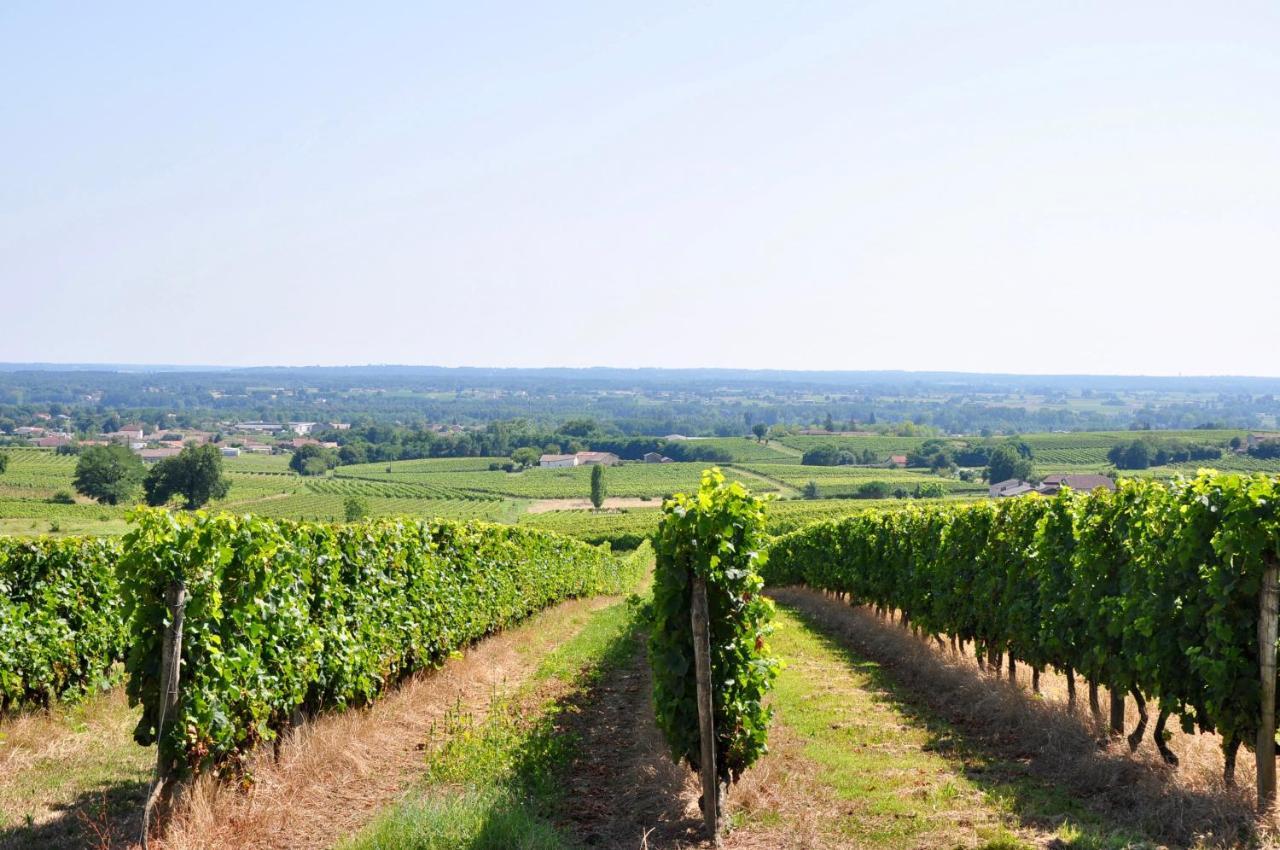 Clos Saint Sauveur - Guesthouse Au Coeur Des Vignes Sur Le Coteau Exteriör bild