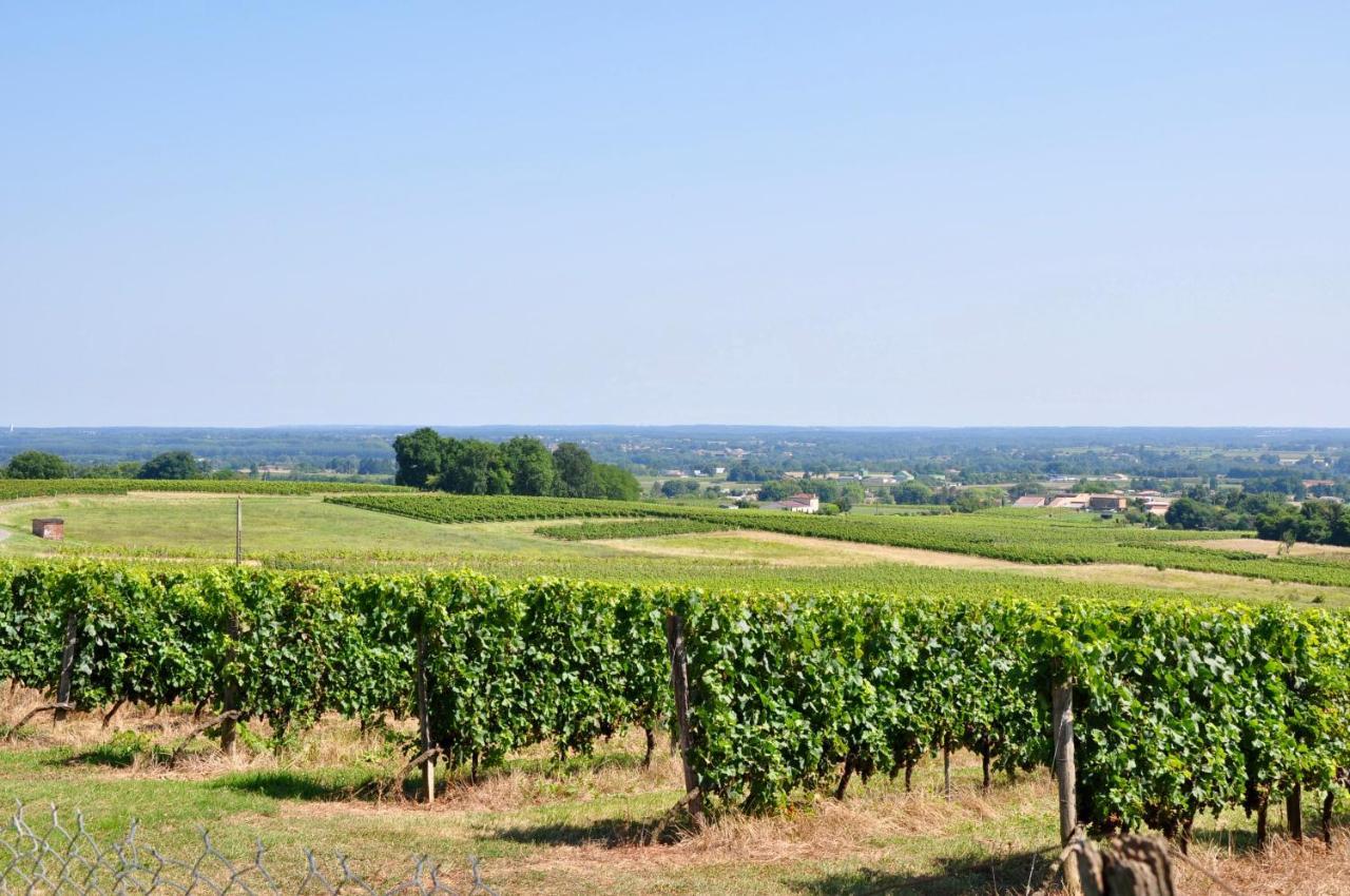 Clos Saint Sauveur - Guesthouse Au Coeur Des Vignes Sur Le Coteau Exteriör bild