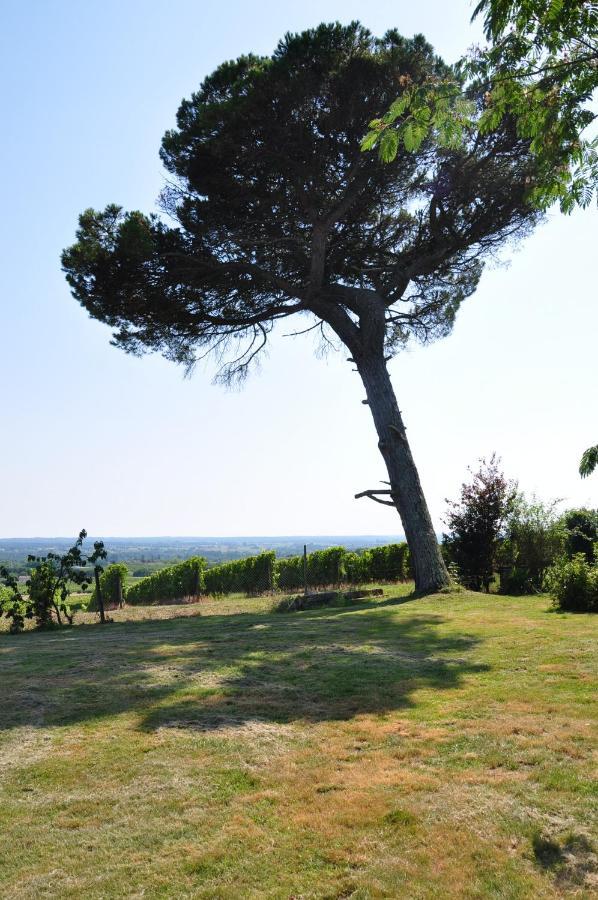 Clos Saint Sauveur - Guesthouse Au Coeur Des Vignes Sur Le Coteau Exteriör bild